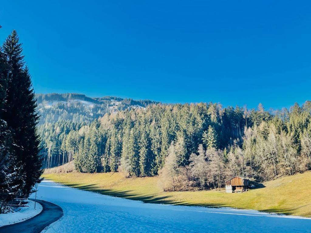 Royal Swan Appartement, Tirol Fügen Extérieur photo